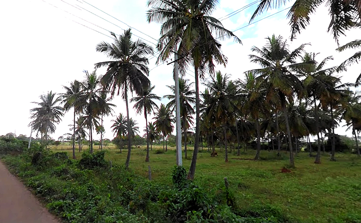 WPPQ+CX, Ballahalli, Karnataka 571109, India