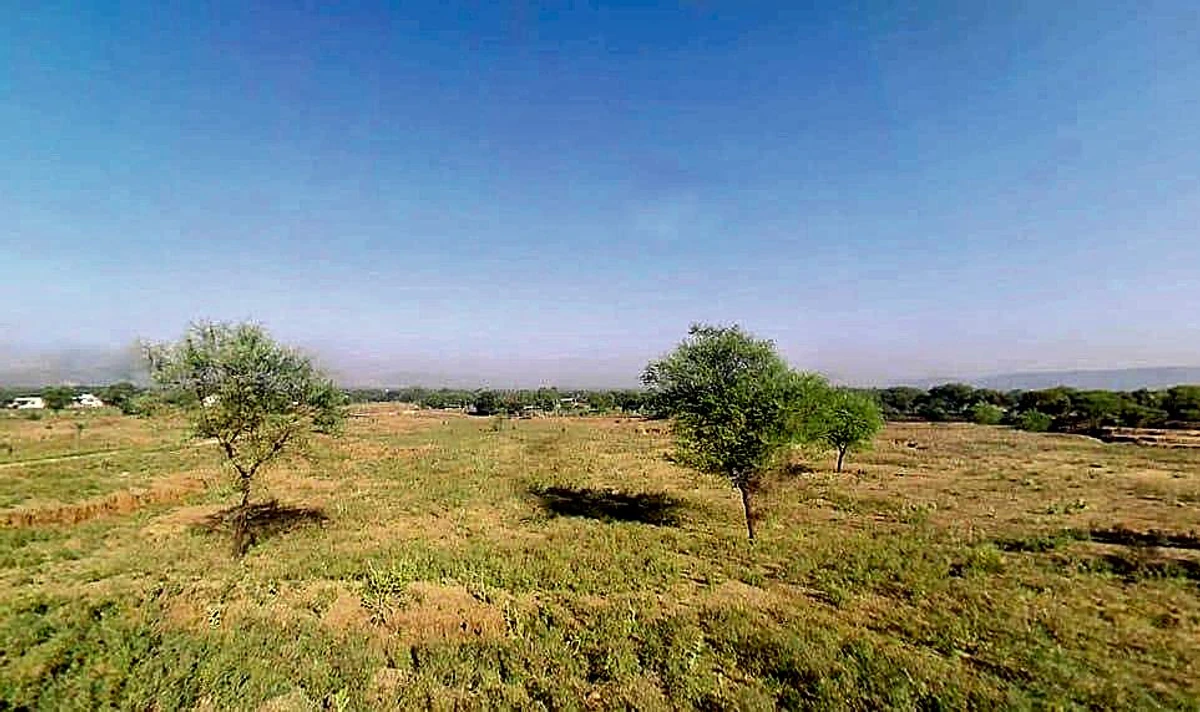 Agricultural Land in Chainpura, Bharatpur