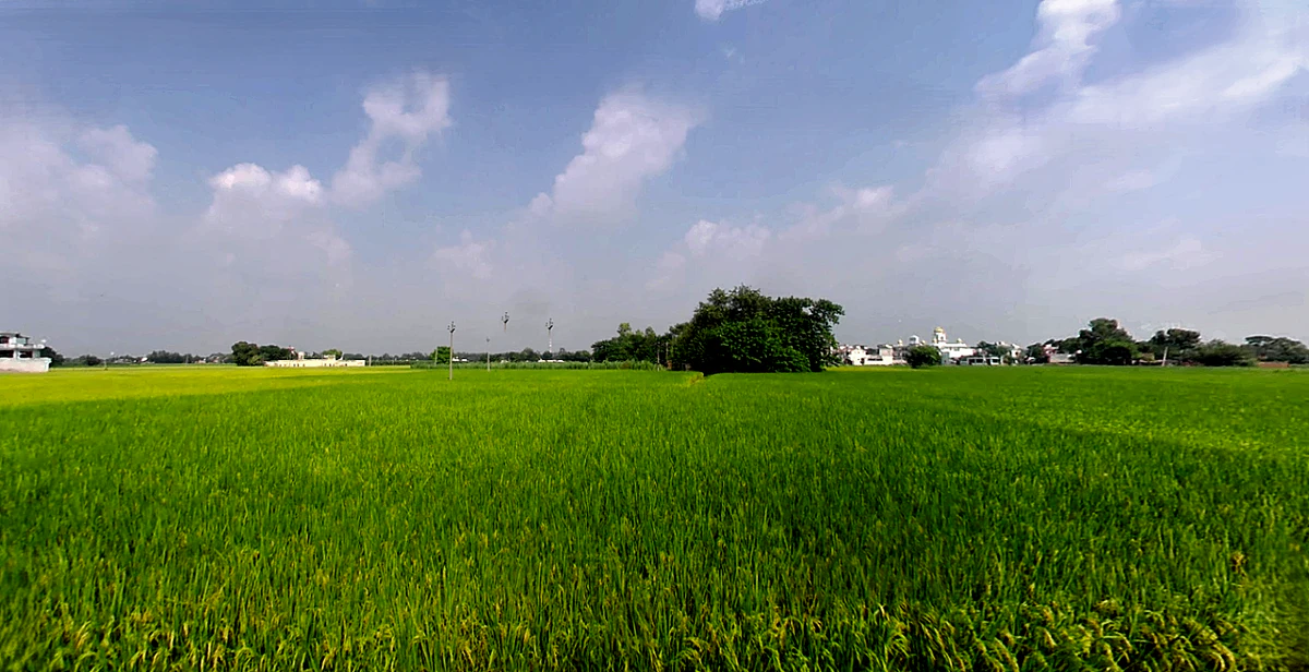 Biharigarh, Uttar Pradesh 247662, India