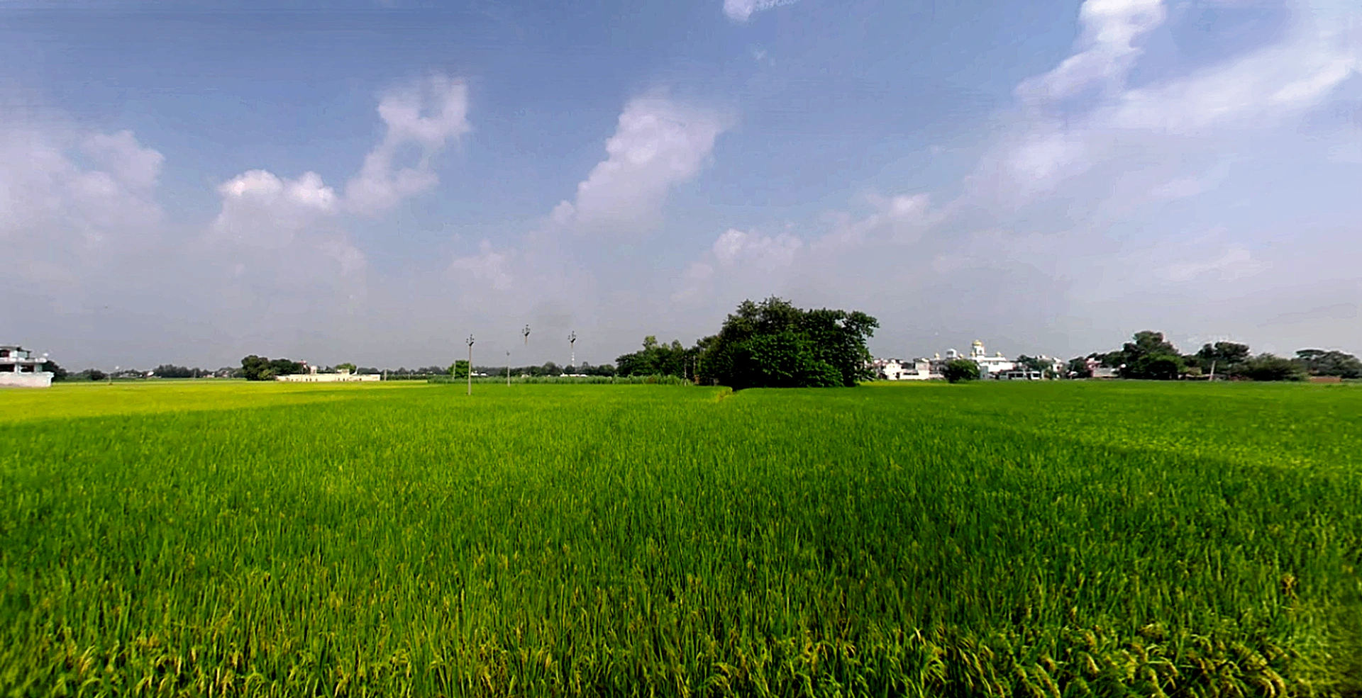 Biharigarh, Uttar Pradesh 247662, India