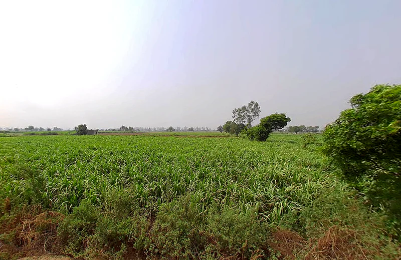 Butana, Haryana 131302, India preview 2