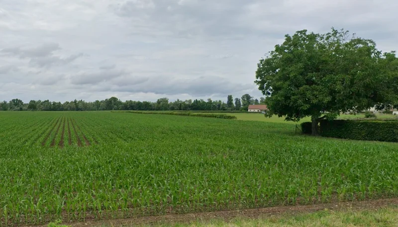 Rabupura, Uttar Pradesh 203209, India