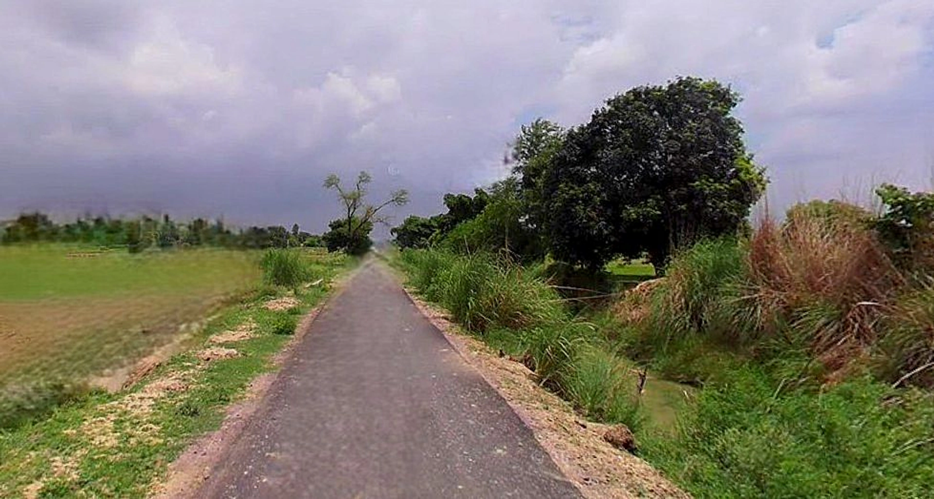 Barsana, Uttar Pradesh 281405, India