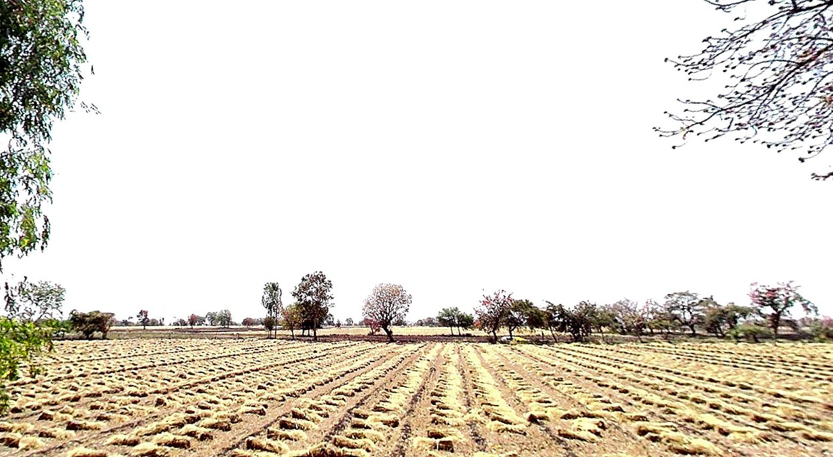 97C6+QXM, Chhindwada, Madhya Pradesh 462036, India