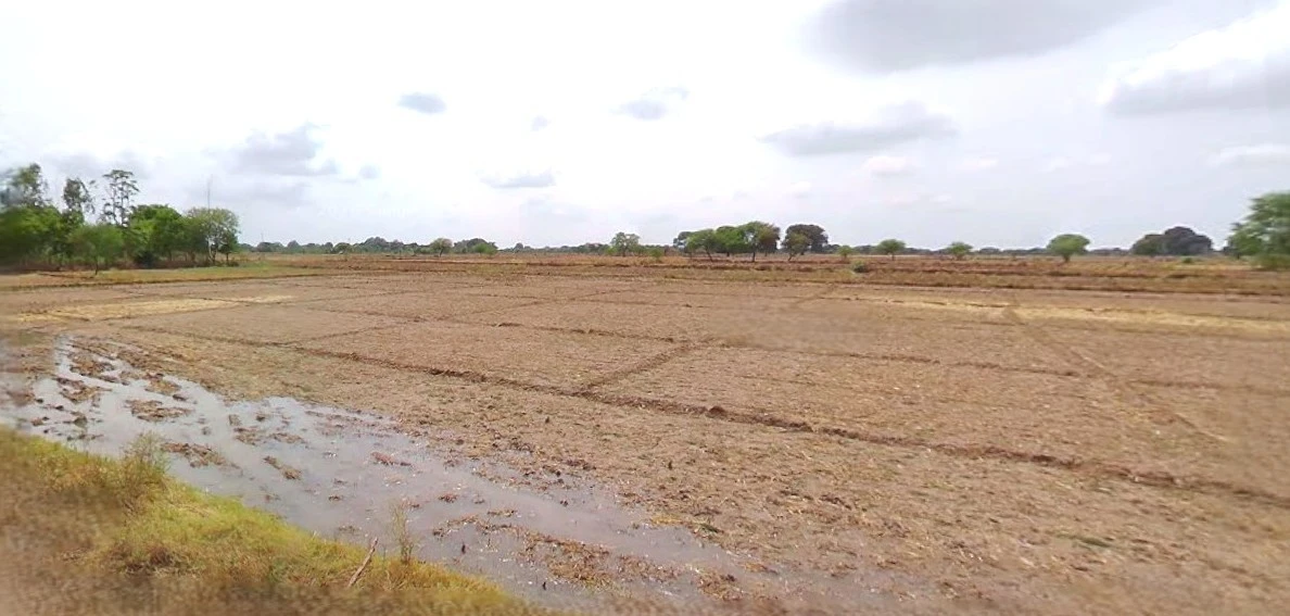 Budaun, Uttar Pradesh 243601, India