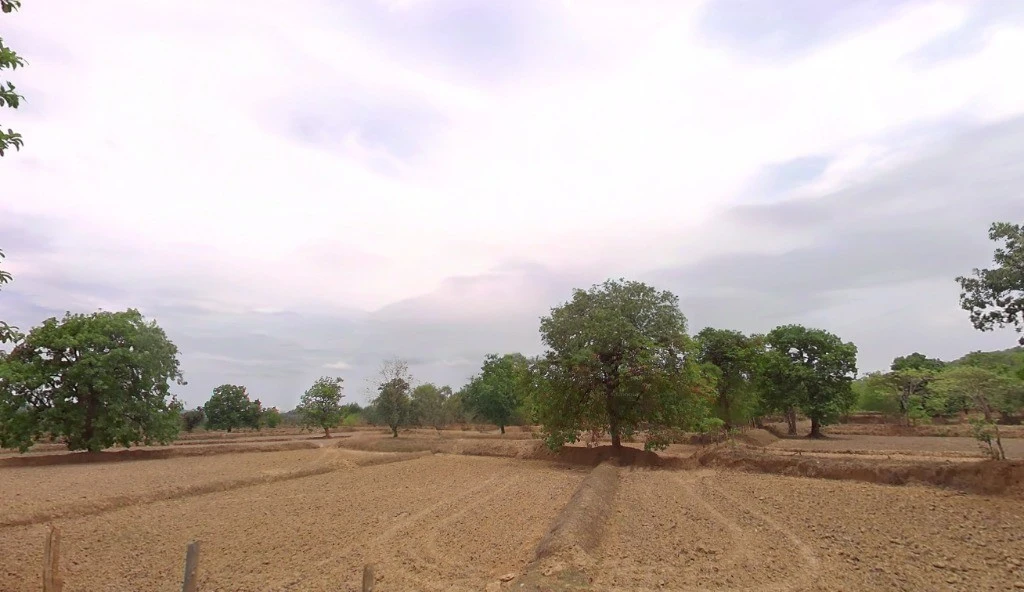 Pandri Pani, Chhattisgarh, India