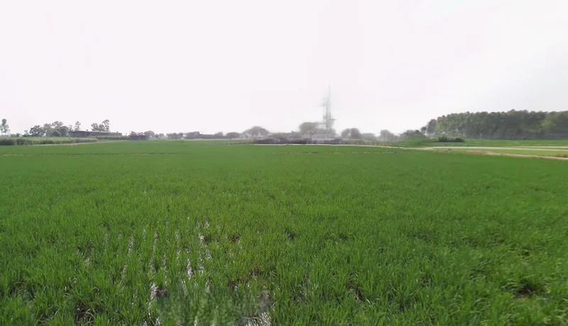 Behram, Punjab 144504, India preview 3