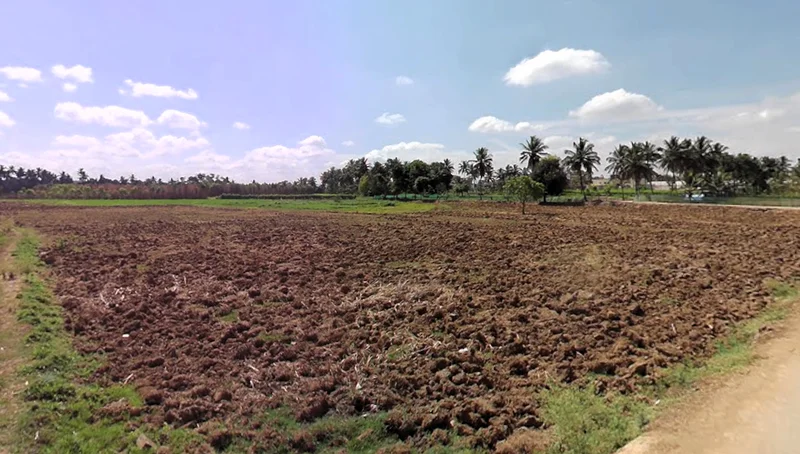 Doddamaluru, Karnataka 572127, India preview 2