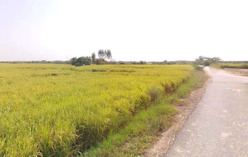 Vrindavan, Uttar Pradesh, India