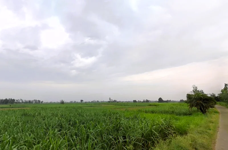 Shahpur Dhameri, Uttar Pradesh, India preview 2