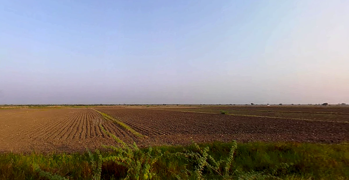 Ambaliyara, Gujarat 382225, India