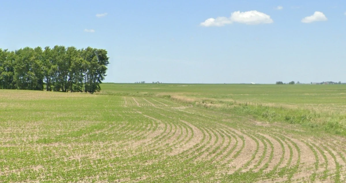 Basondi, Madhya Pradesh 475220, India