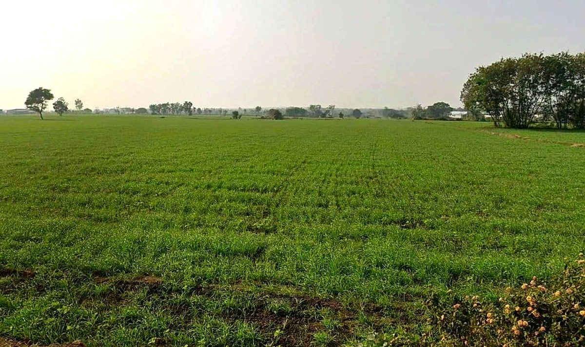 Shujalpur, Madhya Pradesh 465333, India