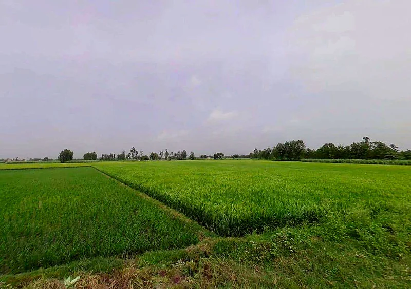FR9Q+X3X, Kasampur, Rahkera, Uttar Pradesh 251308, India preview 2