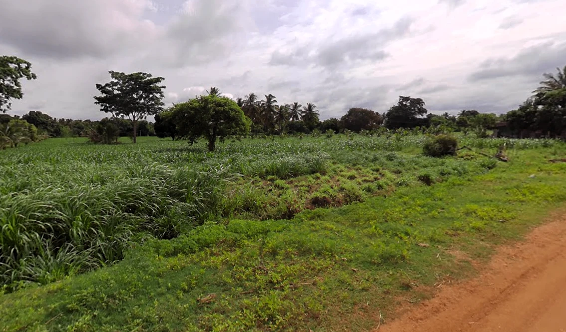 Gaddige, Karnataka 571189, India