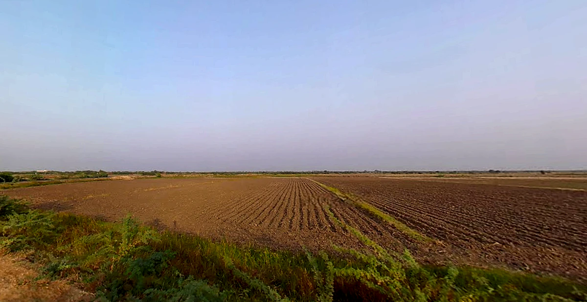 Ambaliyara, Gujarat 382225, India