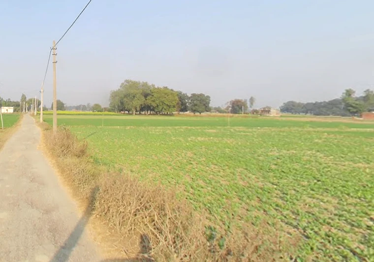 Karchana, Uttar Pradesh 212301, India