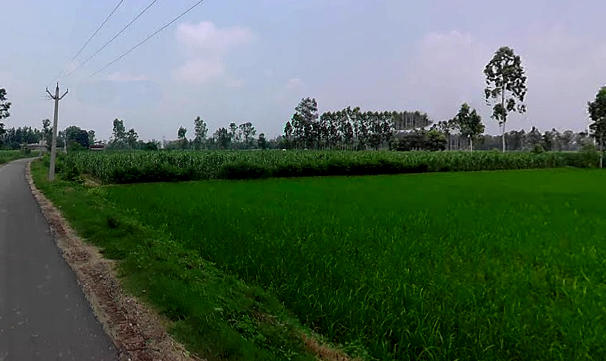 Saidpur, Uttar Pradesh 203411, India