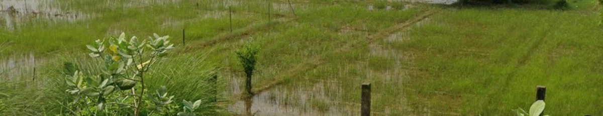 Digha Pahleza J P Setu Rd, Bihar, India