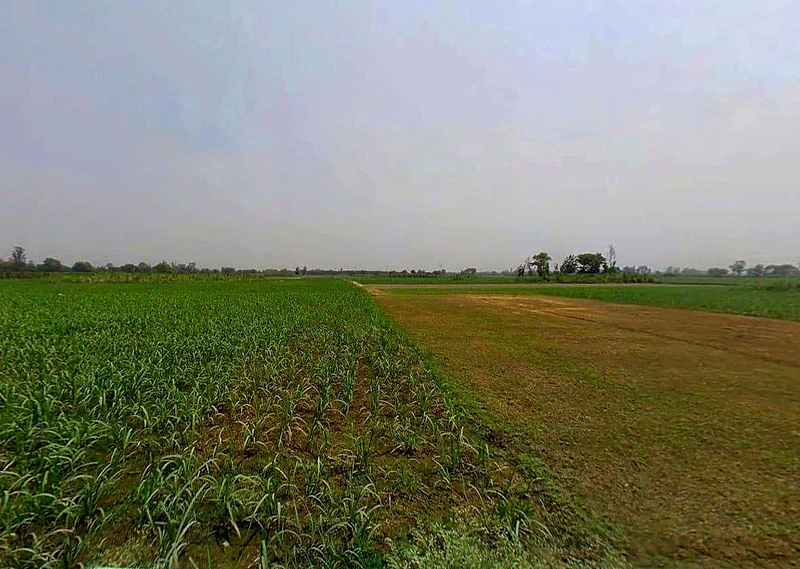 Sardhana, Uttar Pradesh 250342, India preview 2