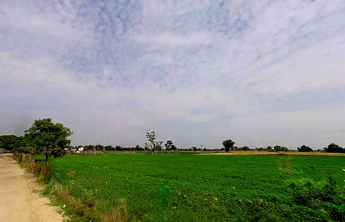 Jan Path, Pratik Nagar, Jhotwara, Jaipur, Rajasthan 302012, India