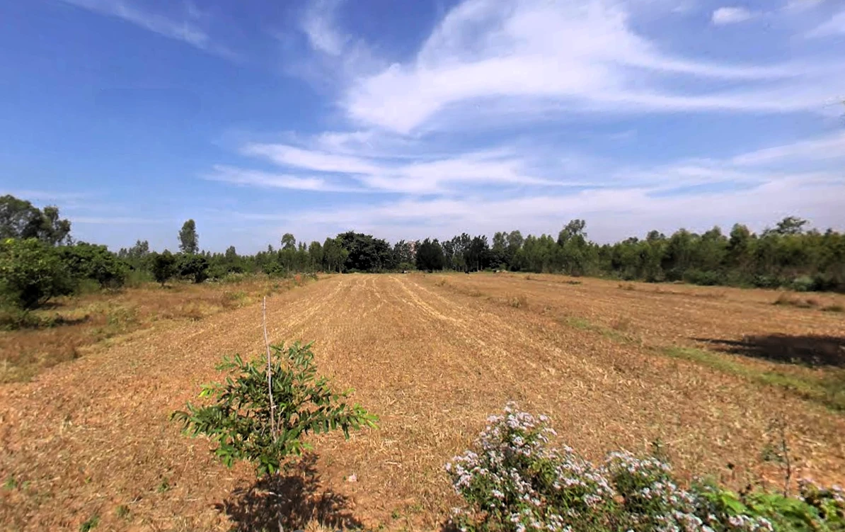 Nelamangala Town, Karnataka 562123, India