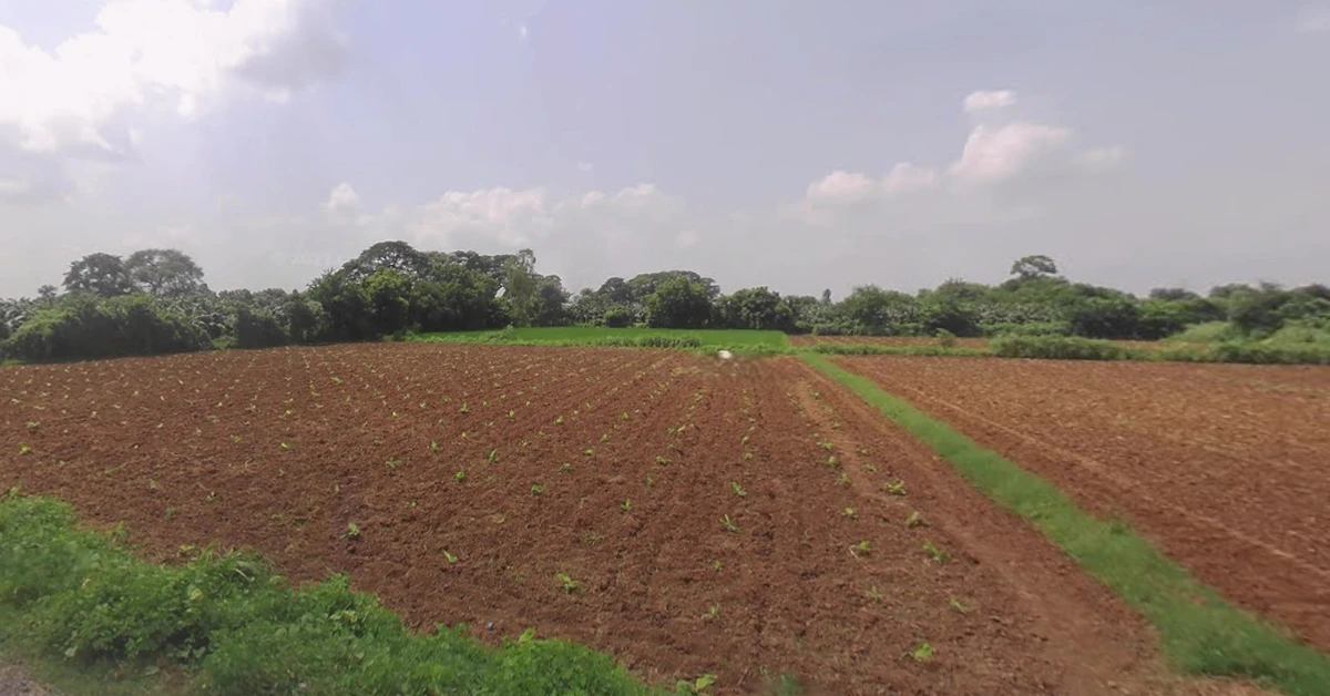 Rethal, Gujarat 382110, India