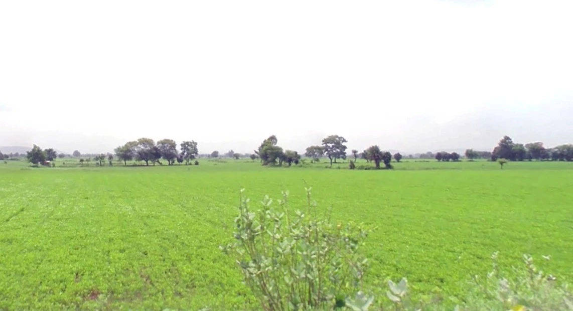 Sohawal, Madhya Pradesh, India