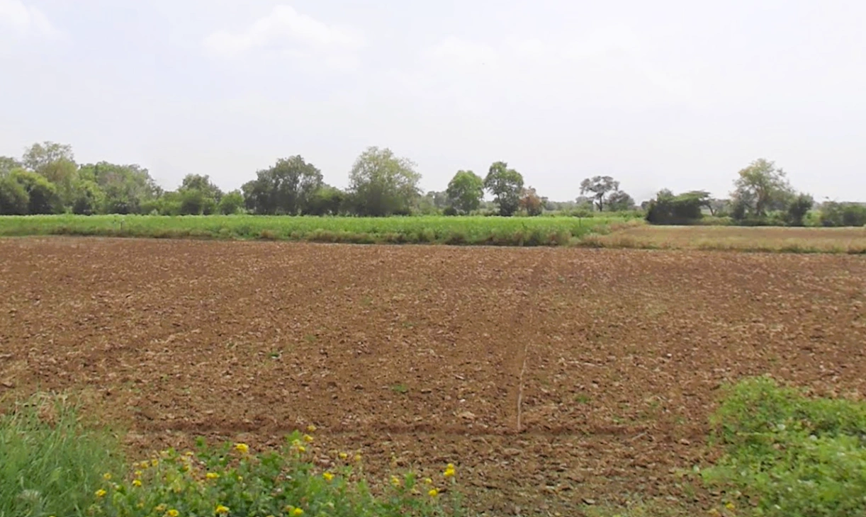 Kheri Bura, Haryana 127306, India