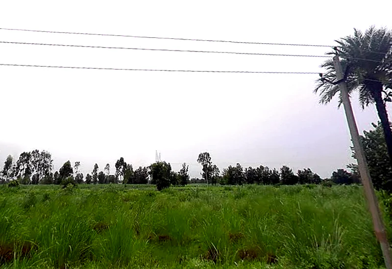 Bhaguwala, Uttar Pradesh 246749, India preview 3