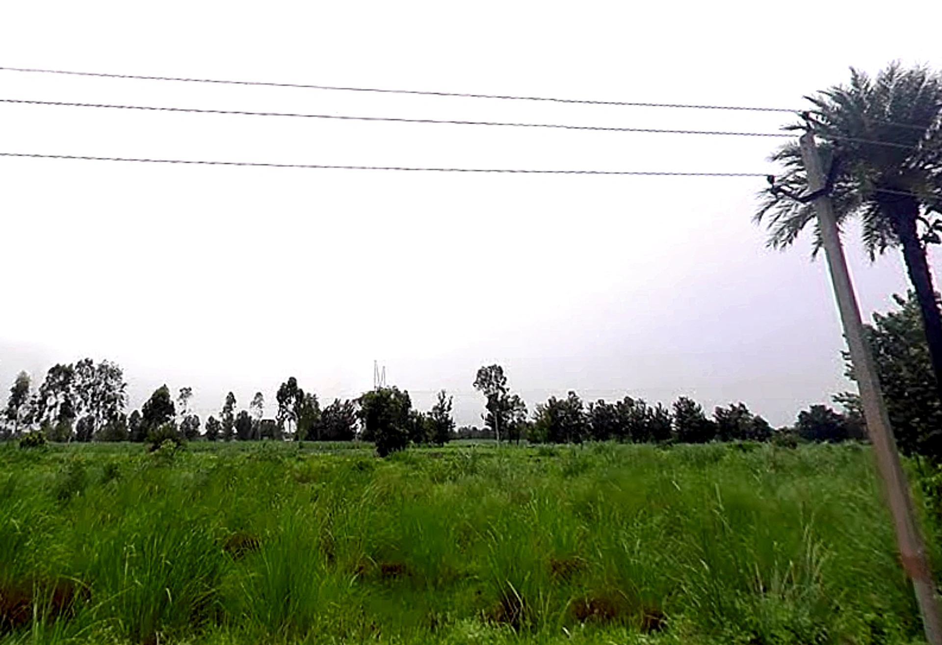 Bhaguwala, Uttar Pradesh 246749, India