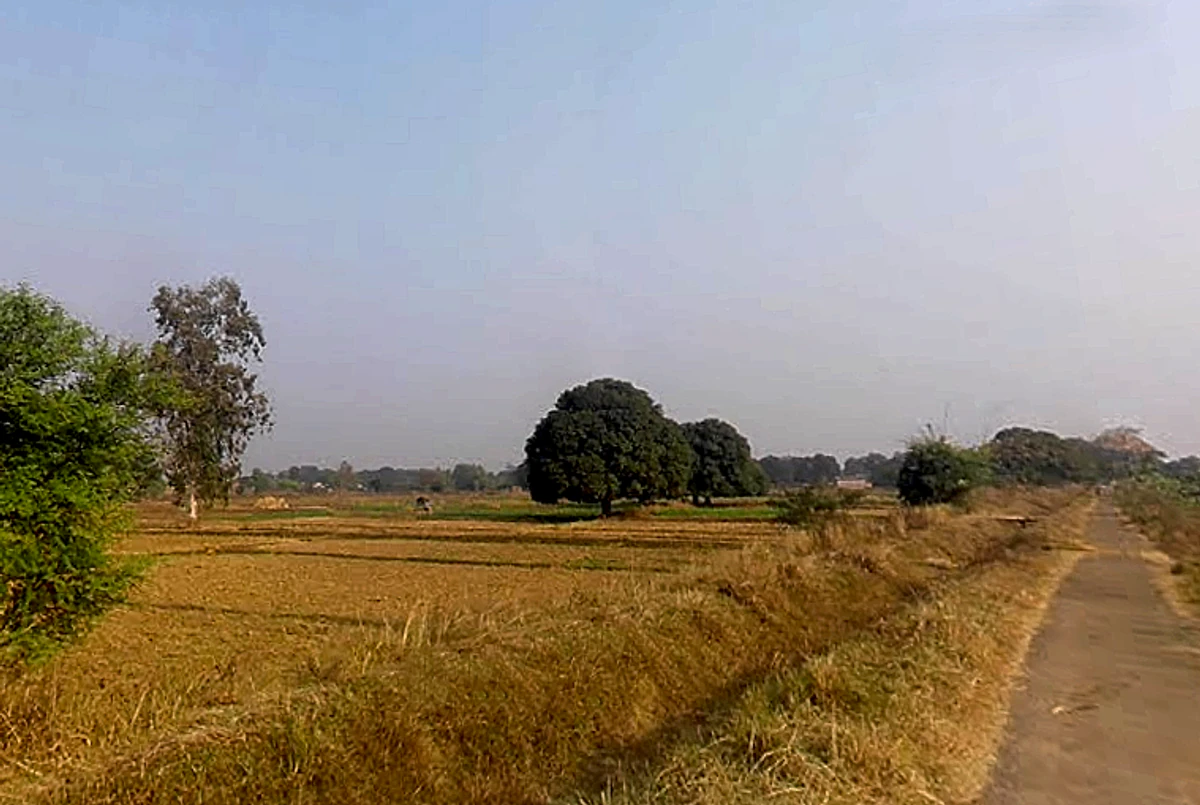 Marihan, Uttar Pradesh 231210, India
