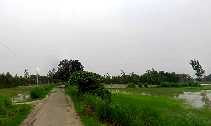 Papad Hamjapur, Uttar Pradesh 243635, India preview 2