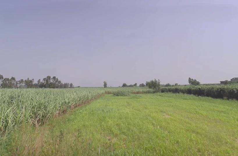 Moradabad, Uttar Pradesh, India