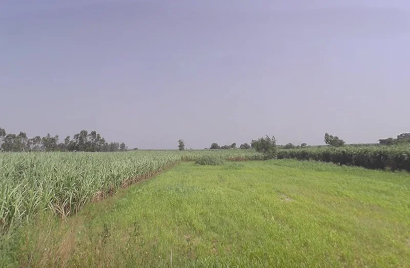 Moradabad, Uttar Pradesh, India preview 3