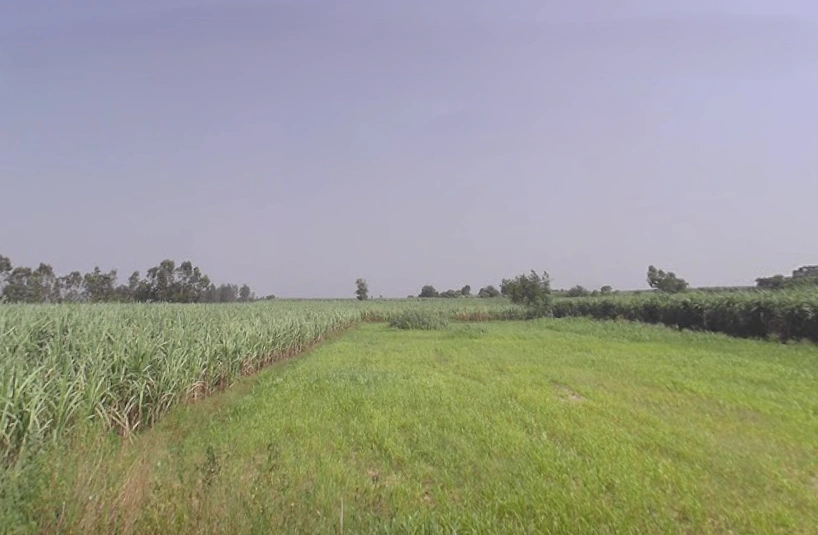 Moradabad, Uttar Pradesh, India