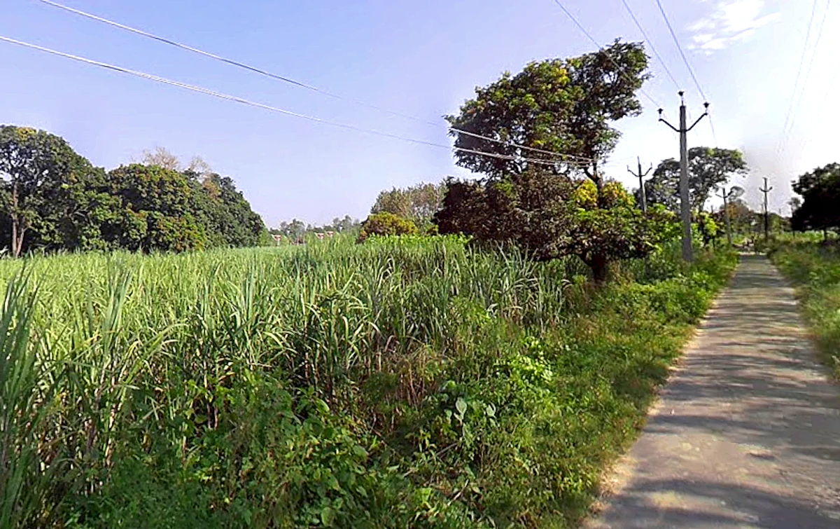 Lalpur, Uttar Pradesh, India