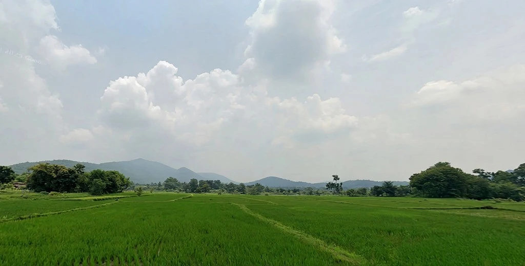 Agricultural Land in Asan bani/chandil, Seraikela-kharsawan