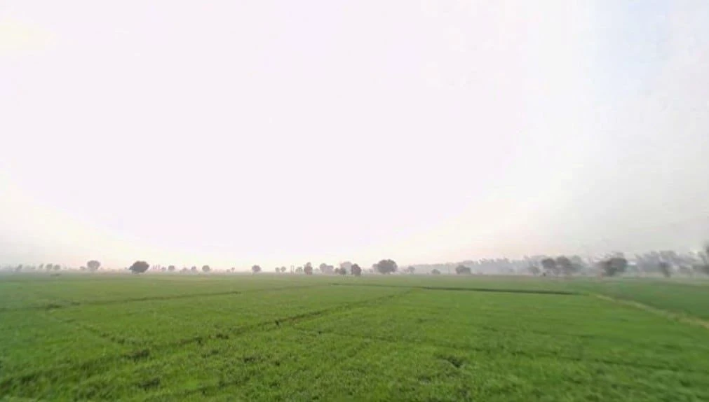 Agricultural Land in Mahwa, Alwar