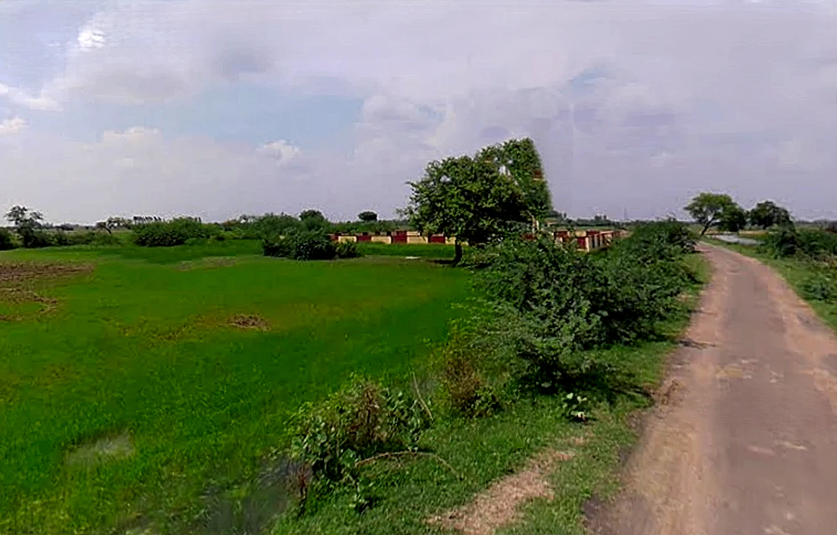 WWJP+82 Debiganj, Uttar Pradesh, India