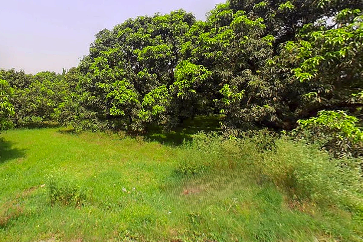 Siyana, Uttar Pradesh 203412, India