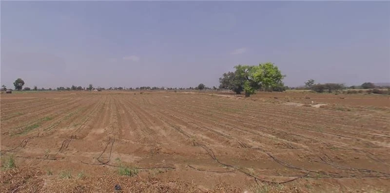 Agricultural Land in Idar/poshina, Banaskantha
