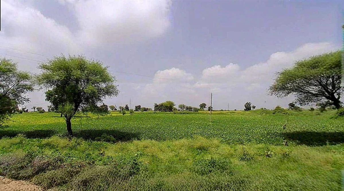 FMWR+J9J, Sangvikheda, Madhya Pradesh 456443, India