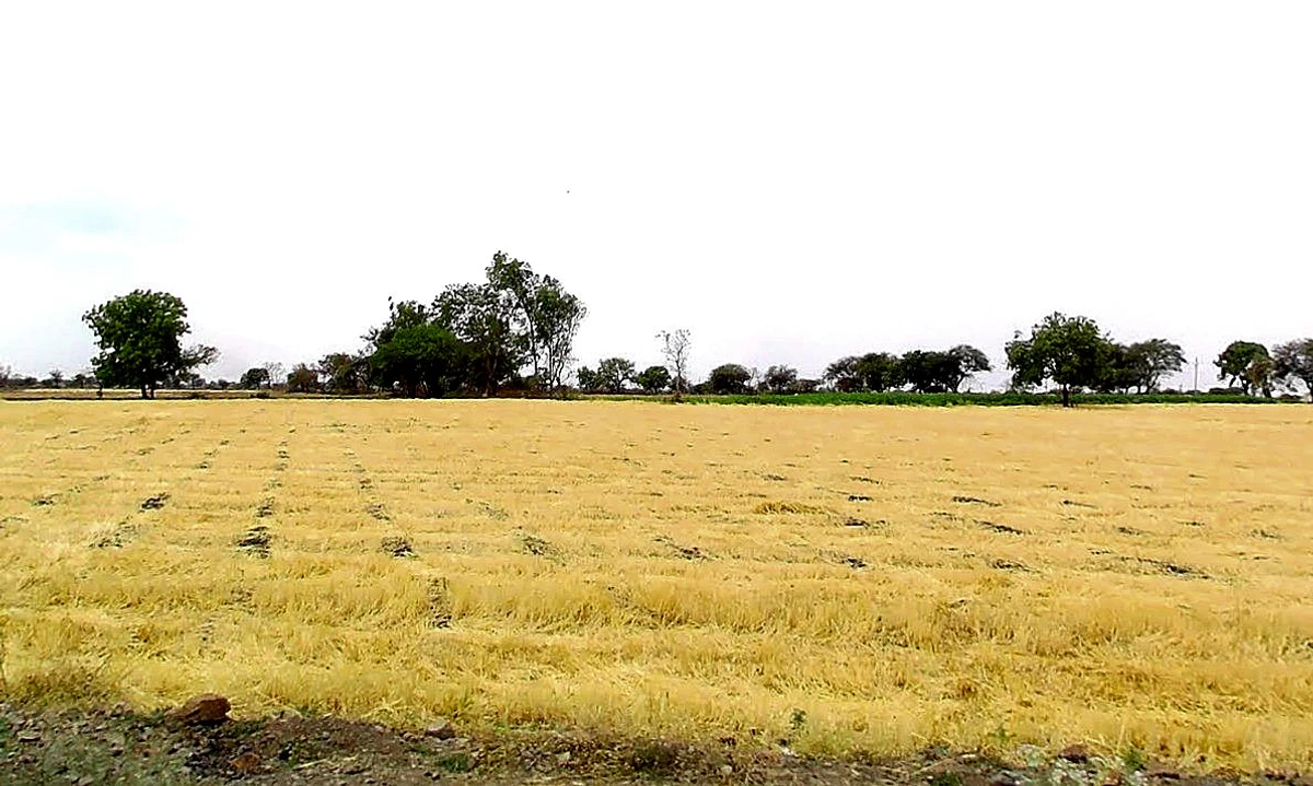 Dhulet, Madhya Pradesh 456443, India