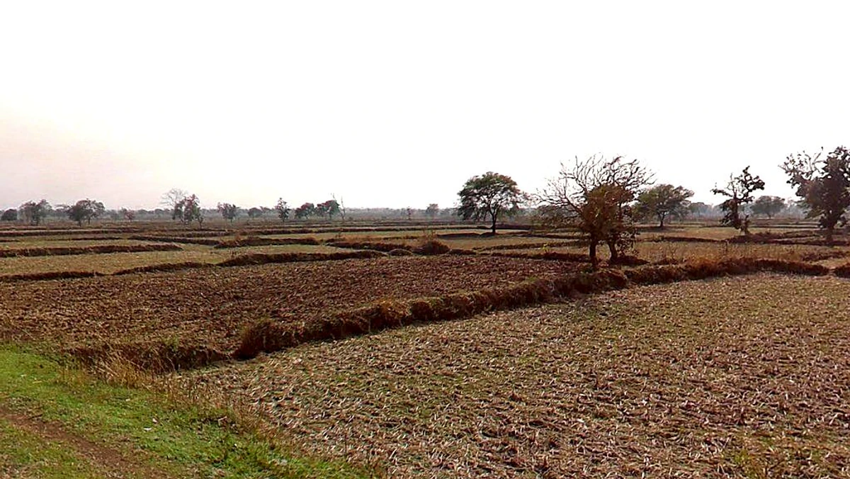 Gota, Chhattisgarh, India