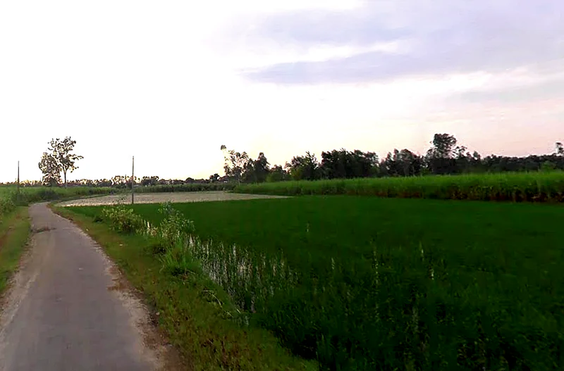 Ahamadwala, Uttar Pradesh, India preview 2