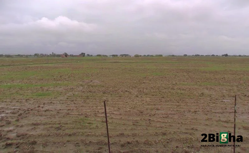 J687+V6C, Chaubepur - Bithoor Rd, Nonha Kalan, Uttar Pradesh 209203, India preview 3