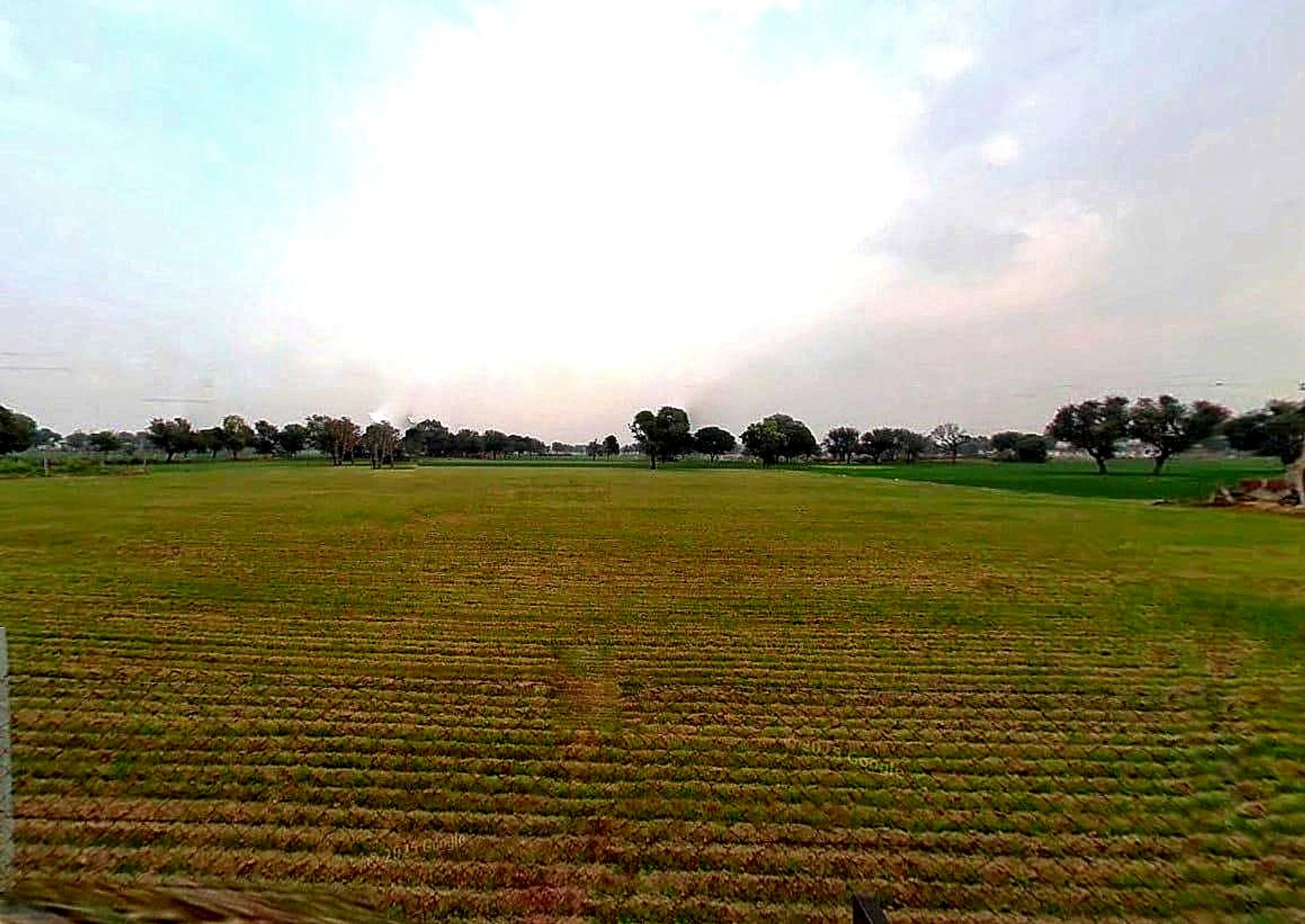 XHM8+P6J, Ramla Ka Bas, Rajasthan 303706, India