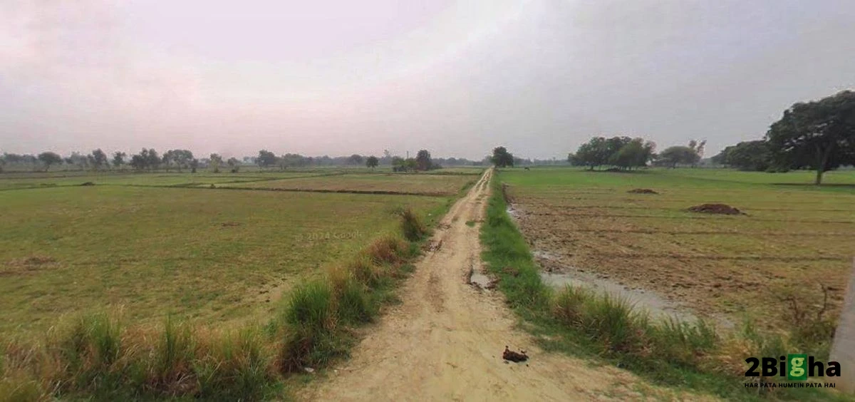 Muskara, Uttar Pradesh 210506, India