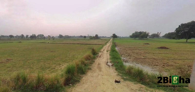 Muskara, Uttar Pradesh 210506, India preview 3